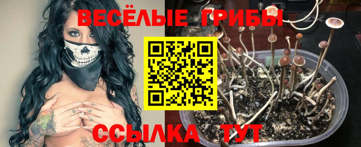Галлюциногенные грибы GOLDEN TEACHER  Псилоцибиновые грибы ЛСД  Вход с VPN  Хабаровск 