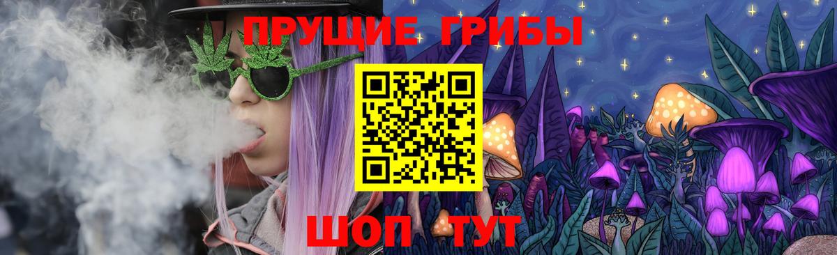 Псилоцибиновые грибы мухоморы Хабаровск
